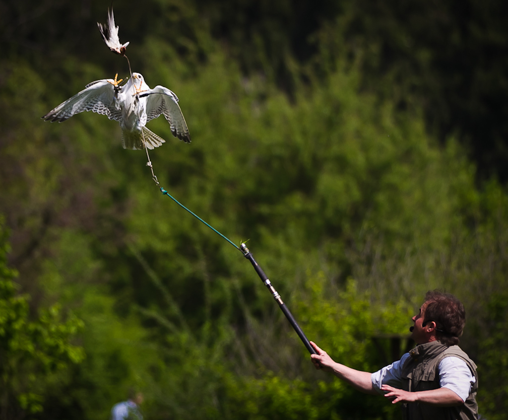 Sieglinde Senser (2)